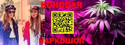ешки Боровичи