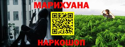 ешки Боровичи