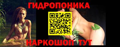 ешки Боровичи